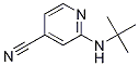 2-(Tert-butylamino)isonicotinonitrile Structure,127680-80-2Structure