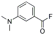 Benzoyl fluoride, 3-(dimethylamino)-(9ci) Structure,127728-57-8Structure