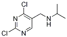 (2,4-Dichloro-pyrimidin-5-ylmethyl)-isopropyl-amine Structure,1289387-95-6Structure