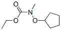 (9ci)-(环戊基氧基)甲基-氨基甲酸乙酯结构式_133146-78-8结构式