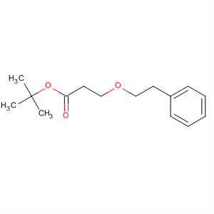 3-(2-苯基乙氧基)丙酸叔丁酯结构式_133803-49-3结构式