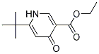 Ethyl 6-tert-butyl-4-oxo-1,4-dihydro-pyridine-3-carboxylate Structure,134653-98-8Structure