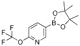 5-(4,4,5,5-Tetramethyl-1,3,2-dioxaborolan-2-yl)-2-(trifluoromethoxy)pyridine Structure,1352741-13-9Structure