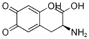 6-Hydroxydopaquinone Structure,135791-48-9Structure