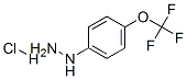 4-(Trifluoromethoxy)phenylhydrazine hydrochloride Structure,13957-54-5Structure