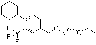 N-(4-cyclohexyl-3-trifluoromethylbenzyloxy)acetimidic acid ethyl ester Structure,1418144-65-6Structure