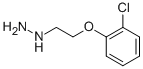 [2-(2-Chlorophenoxy)ethyl]hydrazine Structure,14573-11-6Structure