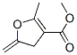 3-Furancarboxylicacid,4,5-dihydro-2-methyl-5-methylene-,methylester(9ci) Structure,146896-48-2Structure