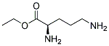 D-ornithine, ethyl ester (9ci) Structure,150943-78-5Structure