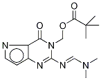 N1-(Pivaloyloxy)methyl-N2-(dimethylamino)methylene 9-Deazaguanine Structure,151587-58-5Structure