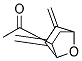 Ethanone, 1-[5,6-bis(methylene)-7-oxabicyclo[2.2.1]hept-2-yl]-, exo-(9ci) Structure,155004-13-0Structure