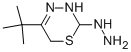 (5-Tert-butyl-6h-[1,3,4]thiadiazin-2-yl)hydrazine Structure,158035-17-7Structure