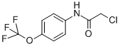 N-(chloroacetyl)-4-(trifluoromethoxy)aniline Structure,161290-85-3Structure