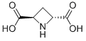 (2R,4r)-(+)-azetidine-2,4-dicarboxylic acid Structure,161596-63-0Structure