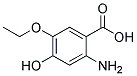 (9ci)-2-氨基-5-乙氧基-4-羟基-苯甲酸结构式_164161-22-2结构式