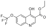 Ethyl4-hydroxy-6-(trifluoromethoxy)quinoline-3-carboxylate Structure,175203-85-7Structure