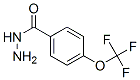 4-(Trifluoromethoxy)benzoic acid hydrazide Structure,175277-18-6Structure