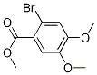 17667-32-2结构式