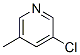 3-Chloro-5-methylpyridine Structure,19230-55-8Structure