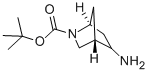 Tert-butyl 5-amino-2-azabicyclo[2.2.1]heptane-2-carboxylate Structure,207405-62-7Structure