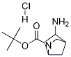 Tert-butyl 5-amino-2-aza-bicyclo[2.2.1]heptane-2-carboxylate Structure,207405-66-1Structure