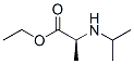 L-alanine, n-(1-methylethyl)-, ethyl ester (9ci) Structure,207916-93-6Structure