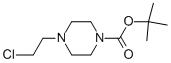 Tert-Butyl 4-(2-chloroethyl)tetrahydro-1(2H)-pyrazinecarboxylate Structure,208167-83-3Structure