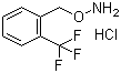 O-[2-(trifluoromethyl)benzyl]hydroxylamine hydrochloride Structure,215599-92-1Structure