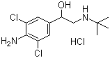 Clenbuterol hdrochloride Structure,21898-19-1Structure