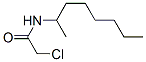 2-Chloro-n-(1-methylheptyl)acetamide Structure,23602-04-2Structure