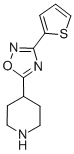 4-[3-(Thien-2-yl)-[1,2,4]-oxadiazol-5-yl]-piperidine Structure,244272-35-3Structure