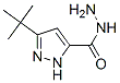 3-叔丁基-1H-吡唑-5-甲酰肼结构式_262292-02-4结构式