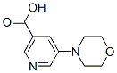 5-Morpholin-4-yl-nicotinic acid Structure,263270-06-0Structure