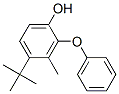 4-[2-(1,1-Dimethylethyl)-5-methylphenoxy]phenol Structure,307000-42-6Structure