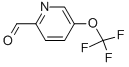 5-(Trifluoromethoxy)pyridine-2-carbaldehyde Structure,31191-05-6Structure