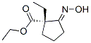 Cyclopentanecarboxylic acid,1-ethyl-2-(hydroxyimino)-,ethyl ester,(1s)-(9ci) Structure,335260-38-3Structure