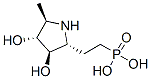 (9ci)-[2-[(2r,3r,4r,5r)-3,4-二羟基-5-甲基-2-吡咯烷]乙基]-磷酸结构式_339186-29-7结构式