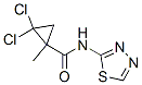 (9Ci)-2,2-二氯-1-甲基-N-1,3,4-噻二唑-2-基-环丙烷羧酰胺结构式_345314-55-8结构式