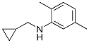 N-(环丙基甲基)-2,5-二甲基苯胺结构式_356539-50-9结构式