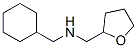 1-Cyclohexyl-N-(tetrahydrofuran-2-ylmethyl)methanamine Structure,356540-19-7Structure