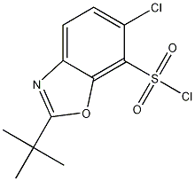 2-叔丁基-6-氯苯并噁唑-7-磺酰氯结构式_361392-60-1结构式