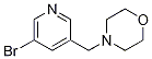 4-(5-Bromopyridin-3-yl)methylmorpholine Structure,364793-91-9Structure