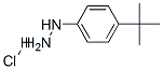 4-Tert-butylphenylhydrazine hydrochloride Structure,36600-66-5Structure