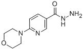 6-吗啉烟酰肼结构式_388088-71-9结构式