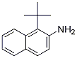 1-叔丁基萘-2-胺结构式_389104-55-6结构式