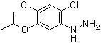 (2,4-Dichloro-5-isopropoxyphenyl)hydrazine Structure,40178-22-1Structure