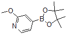 2-Methoxypyridine-4-boronic acid pinacolate Structure,408502-23-8Structure