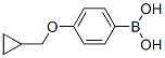 4-(Cyclopropylmethoxy)benzeneboronic acid Structure,411229-67-9Structure