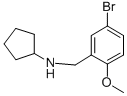 N-(5-bromo-2-methoxybenzyl)cyclopentanamine Structure,418779-19-8Structure