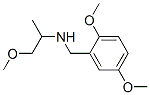 (2,5-Dimethoxy-benzyl)-(2-methoxy-1-methyl-ethyl)-amine Structure,436099-94-4Structure